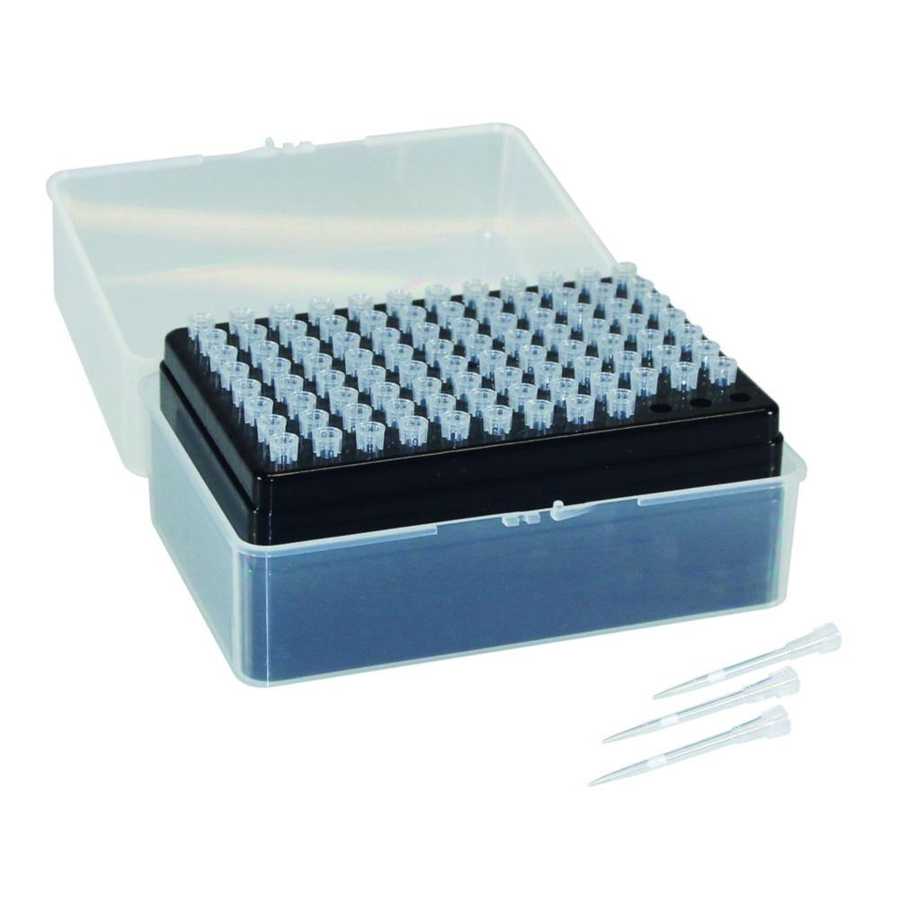 Citotest Scientific Filter Tips 10 µL, Extended, Sterile, PP, 10 Racks of 96