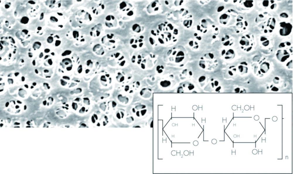 Sartorius Membrane Filter 142mm, 0.2µm, Cellulose, Pack of 25