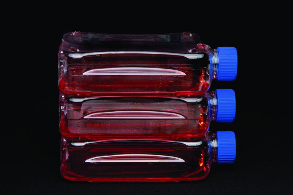 Thermo Nunc Cell Culture Flask N 300 cm² 1900 mL Treated Vented Cap Pack of 12