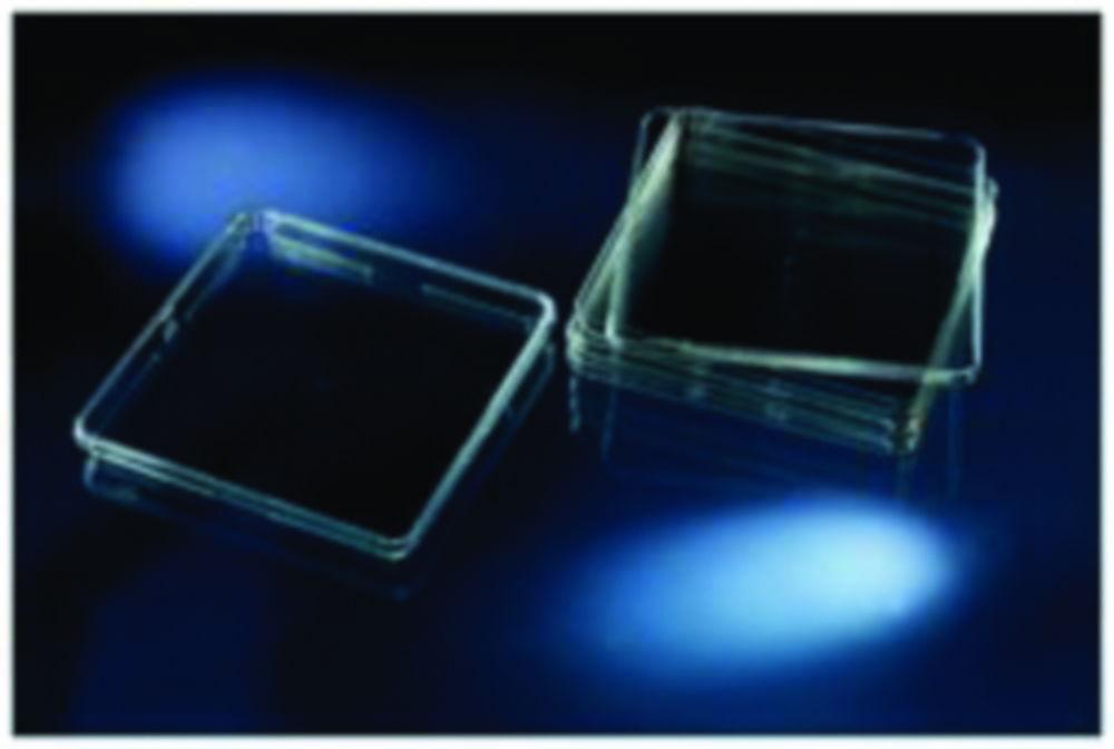 Thermo Nunc Biological Test Dish 241x241x20mm PS 478 cm Low Profile Sterile with Lid for Genetix QBot, QPixII, Megapix, Pack of 20