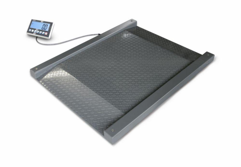 Kern & Sohn Drive-Through Scale NFC 600K-1M, Max 600 kg, e=0.2 kg, d=0.2 kg