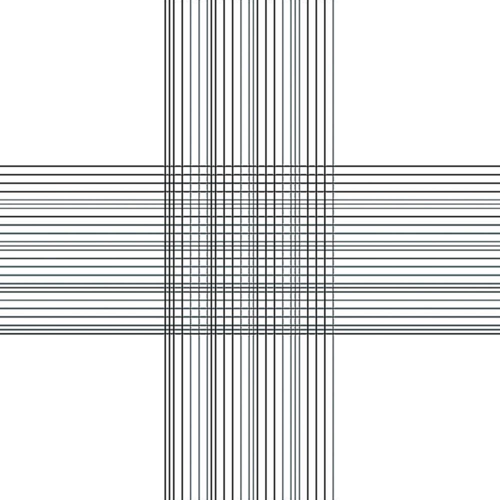 BRAND BLAUBRAND Counting Chamber Bürker-Türk, Double Ruling, Without Spring Clips, Chamber Depth 0.1 mm

