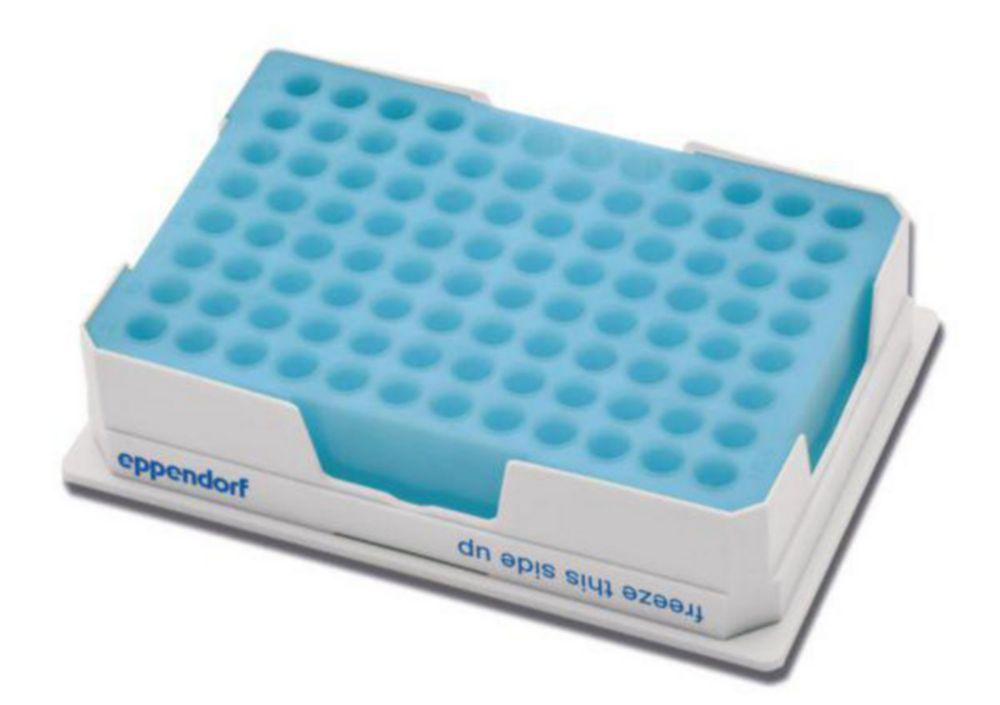 Eppendorf PCR Cooler Blue for 0.2 mL

