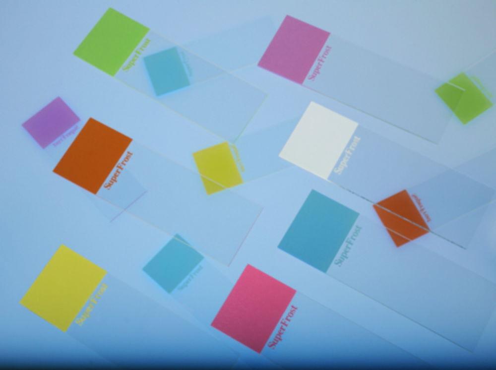 Epredia Superfrost Slides 76 x 26 mm, Ground 45°, Violet – Pack of 50

