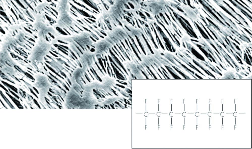 Membrane filter 142 mm, 0.2 µm pack of 25