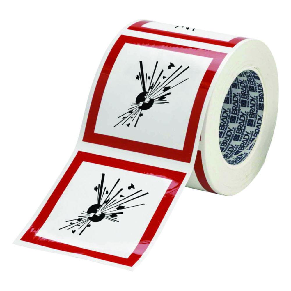 Brady GHS Symbol Harmful Label 50x50 mm Roll (Pack of 250)