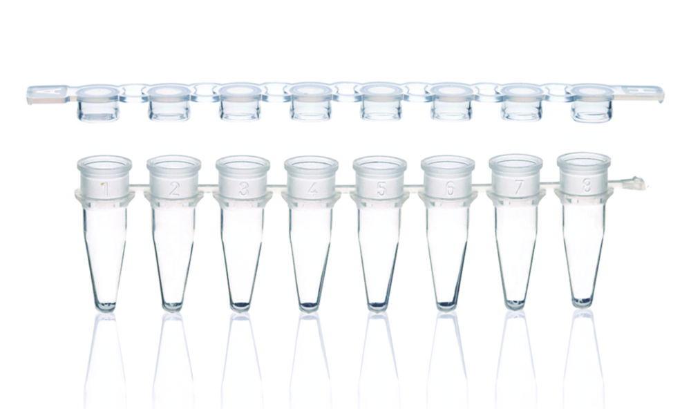 BRAND Strips 8 PCR Tubes PP Clear with Cap, Strips Flat, Pack of 250