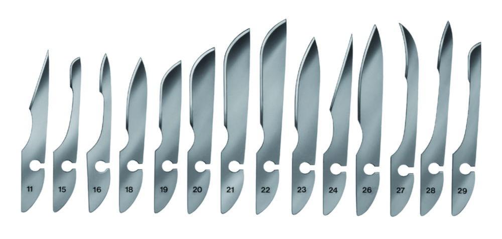 Bayha Scalpel Blades, Type 20, Sterile, Pack of 12 Blades