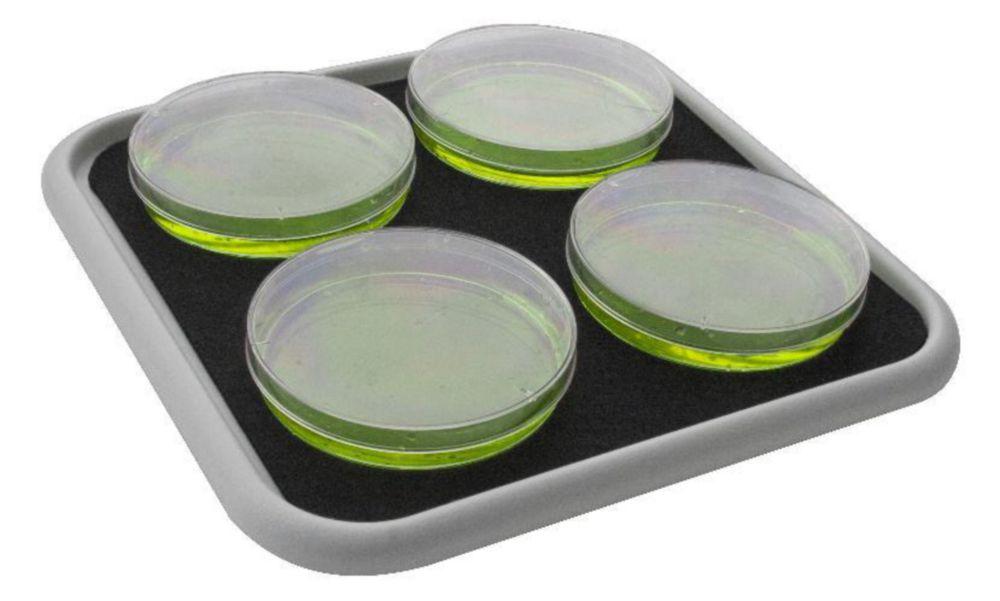 Grant Instruments Flat Platform with Non-Slip Mat (BIO-PP-4)