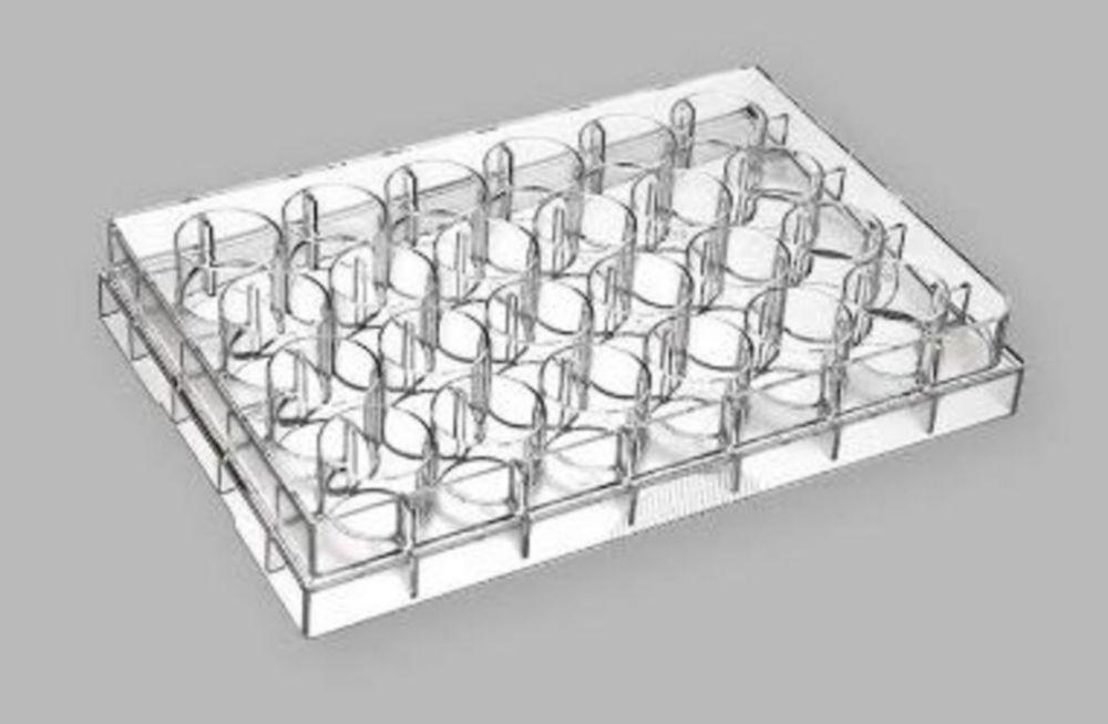 Jet Bio Tissue Culture Plates, 24Well, PS, 2 cm Treated, Sterile, Pack of 100