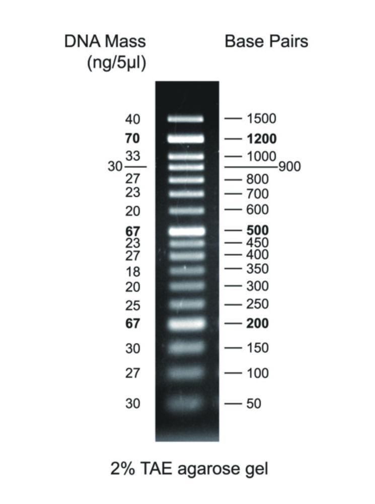Thistle Scientific DNA Ladder 50bp 50–1500bp, 1x500 µl Vial